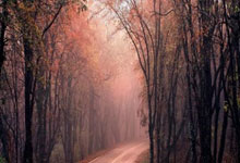 医生支招春季科学运动2025-02-06.