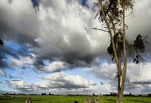 必发体育:健康早间操:郑少忠带来壶铃摇摆教学.