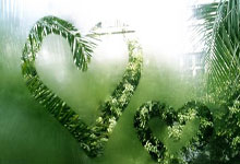 王昶输球再遭质疑!安洗莹大腿受伤恐无缘参加亚锦赛!.