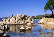 CBA:浙江方兴渡队110-94战胜广东东阳光队.